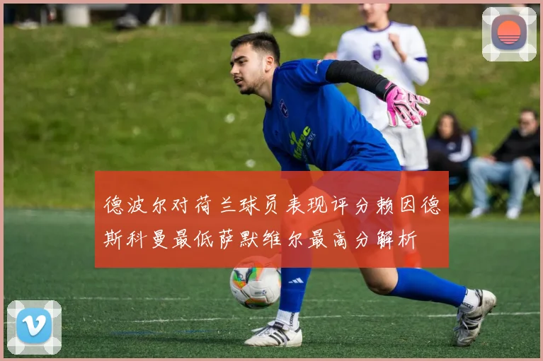 德波尔对荷兰球员表现评分赖因德斯科曼最低萨默维尔最高分解析
